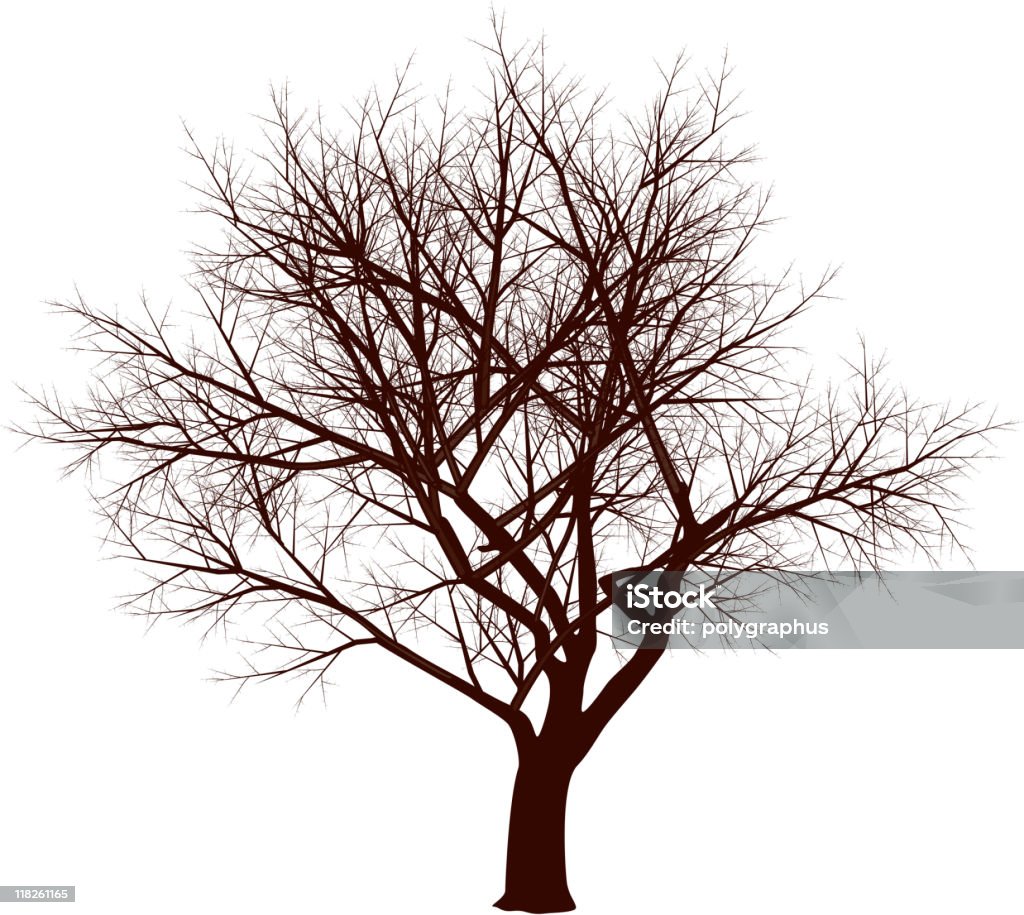 Arbre d'hiver - clipart vectoriel de Arbre sans feuillage libre de droits