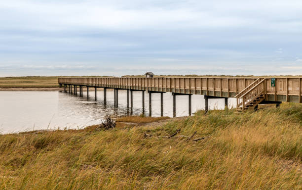 istock Boardwalk at Kouchibouguac in Canada 1182612024