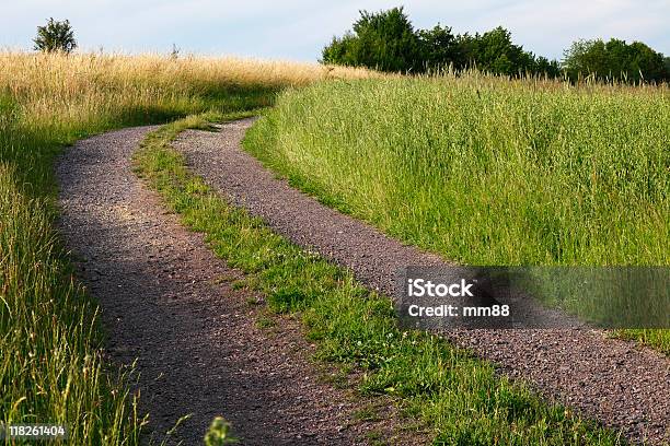 Strada In Terra Battuta - Fotografie stock e altre immagini di Agricoltura - Agricoltura, Ambientazione esterna, Campo