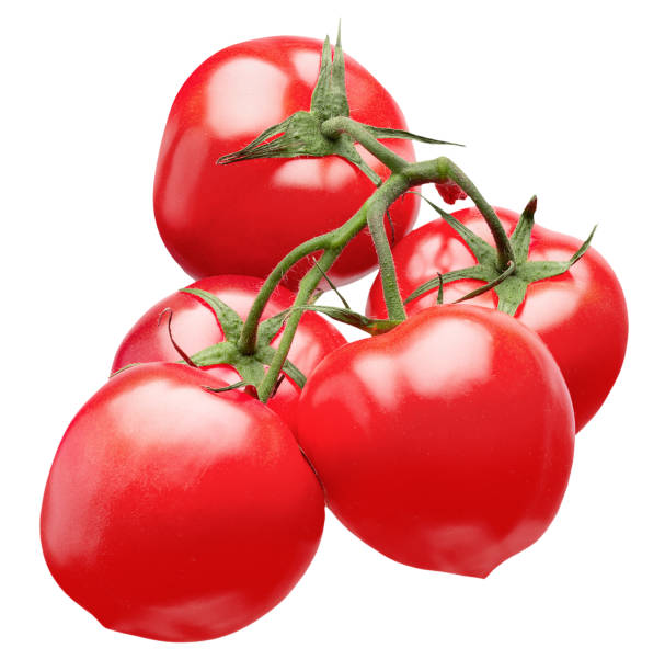 istock red tomatoes branch isolated on a white background 1182614261