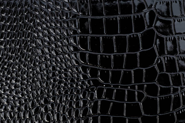 istock Black patent crocodile leather, background texture. Reptile shiny textile, fabric design. 1182614879