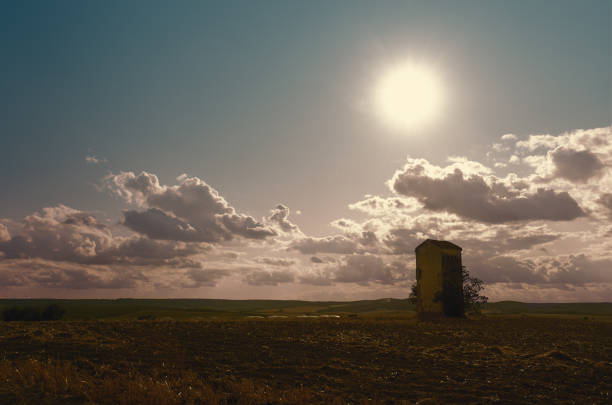 Single house on a green field