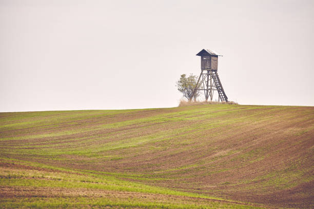 istock Deer hunting pulpit on a field in Autumn. 1182615793