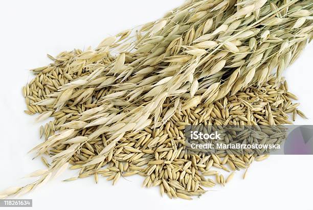 Oat Ears And Seeds Stock Photo - Download Image Now - Cereal Plant, Color Image, Corn - Crop