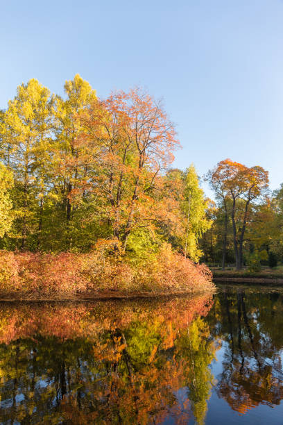 istock sunny landscape with autumn trees 1182616847