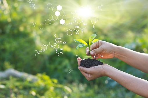 Biology laboratory nature and science, Plants with biochemistry structure on green background.