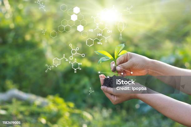 Biology Laboratory Nature And Science Plants With Biochemistry Structure On Green Background Stock Photo - Download Image Now