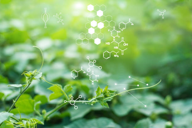 biology laboratory nature and science, plants with biochemistry structure on green background. - research chemistry dna formula imagens e fotografias de stock