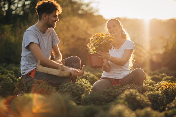 istock Two people working on flower farm 1182620131