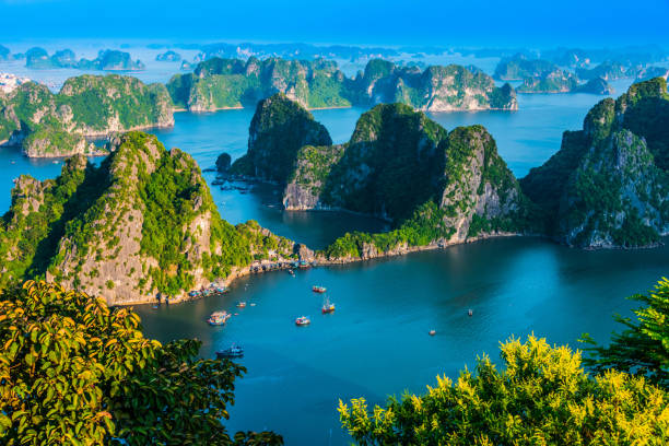 istock Panoramic view of Ha Long Bay, Vietnam 1182620217