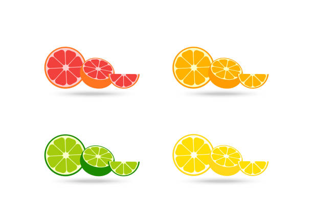 illustrations, cliparts, dessins animés et icônes de collection d'icônes vectorielles fresh citrus fruits. fruits d'agrumes frais dans la conception plate simple moderne. tranches fraîches de fruits d'agrumes de pamplemousse, orange, lime et citron d'isolement sur fond blanc. vecteur - lime fruit citrus fruit portion