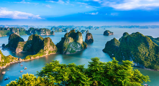 panoramablick auf ha long bay, vietnam - bay stock-fotos und bilder