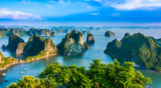 panoramic view of ha long bay, vietnam - halong bay imagens e fotografias de stock