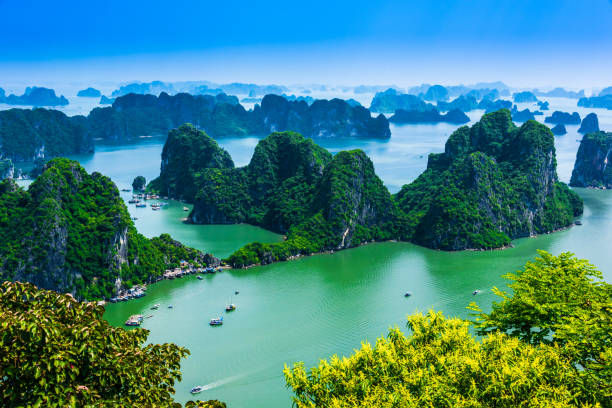 istock Panoramic view of Ha Long Bay, Vietnam 1182620629
