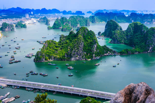 istock Panoramic view of Ha Long Bay, Vietnam 1182620653