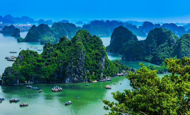 istock Panoramic view of Ha Long Bay, Vietnam 1182620674
