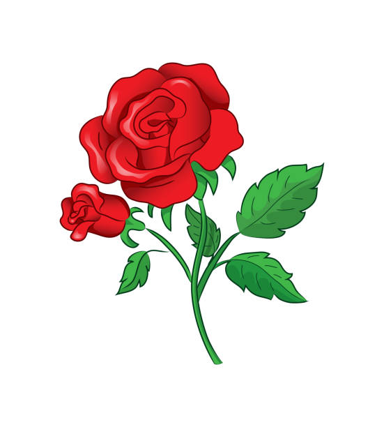 583 Roses Are Red Funny Illustrations & Clip Art - iStock