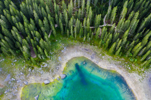 Aerial view of Lago di Carezza. Mountain lake with crystal clear transparent water.