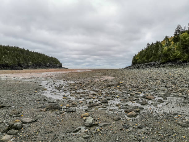 istock Low Tide at Wolfe Point in New Brunswick, Canada 1182625523