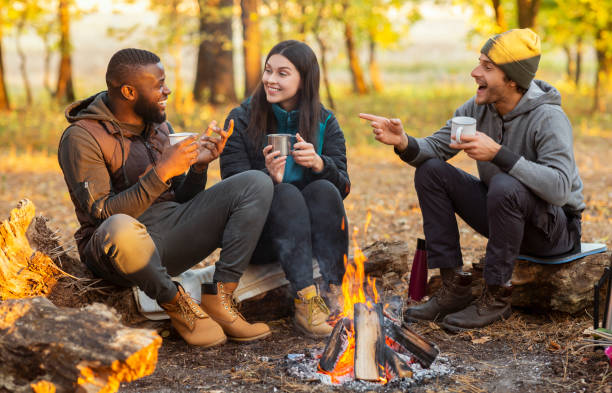 Friends sitting beside fireplace in autumn forest, enjoying time together Camping time for mixed race group of friends sitting beside fireplace and frying sausages in autumn forest in sun lights bonfire photos stock pictures, royalty-free photos & images