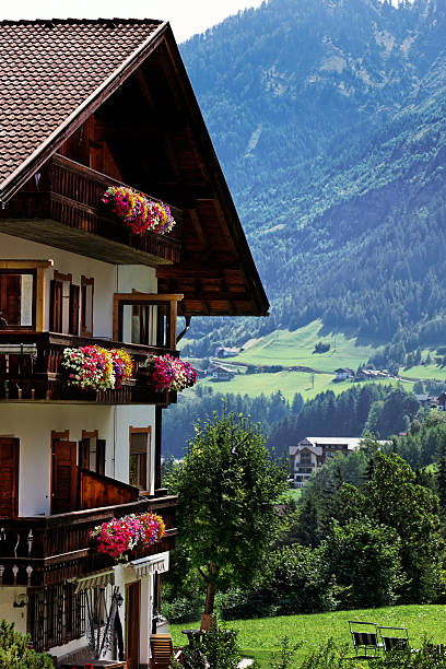 istock Chalet with Flower. Color Image 118262886