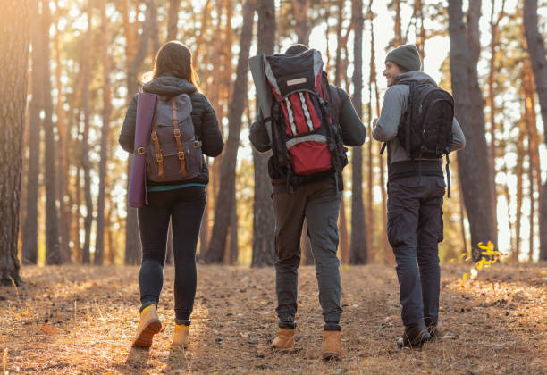 istock Three friends with their backpacks on hiking trip 1182630712