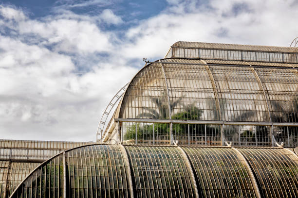 The Palm House at Kew Gardens in London London, England - October 09, 2019: Detail of the glass and wrought iron structure of the Palm House at Kew Gardens in London at day kew gardens stock pictures, royalty-free photos & images