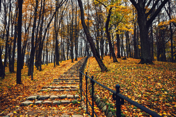 Fallen autumn leaves on a cobblestone staircase in an old park