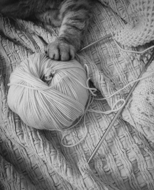 still-life with the theme of knitting