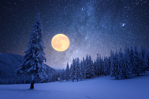 Winter night with full moon and starry sky. Frost covered trees in a mountain forest. Landscape with fresh snow