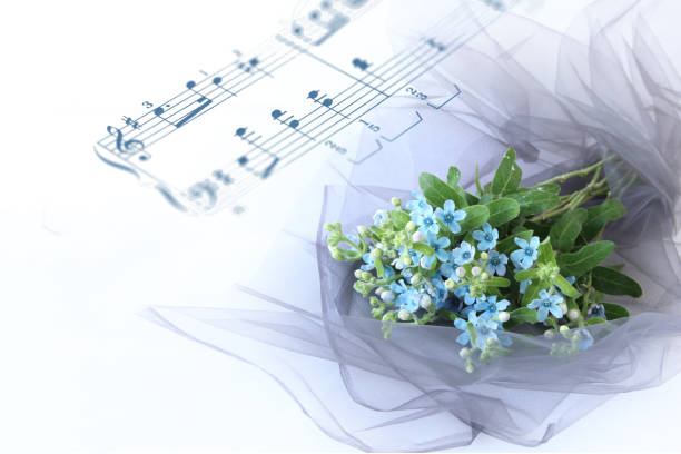 istock Tweedia bouquet 1182636292