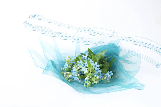 istock Tweedia bouquet 1182636350