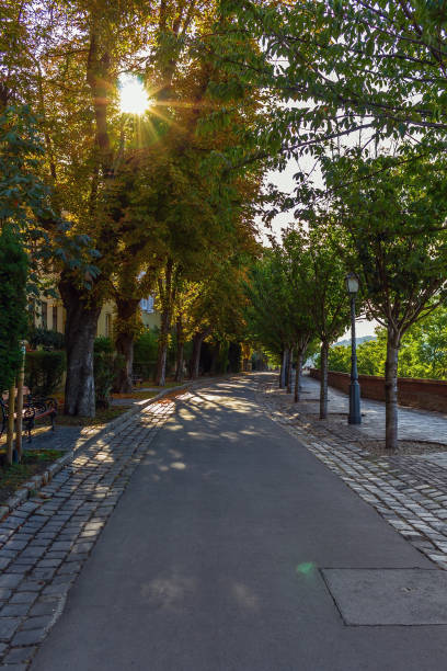 istock Budapest Autumn Alley 1182638928
