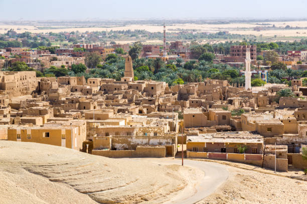 Oasis with ruins of ancient middle eastern Arab town built of mud bricks, old mosque with minaret. New city in background. Al Qasr, Dakhla Oasis, Western Desert, New Valley Governorate, Egypt, Africa stock photo
