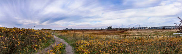 Panorama view of Sydstranden meadow in Dragør (Sylten), with dramatic clouds, autumn colored rose hip bushes (hyben) and a gravel path. In the background Øresund and some of the modern townhouses by Søndre Strandvej