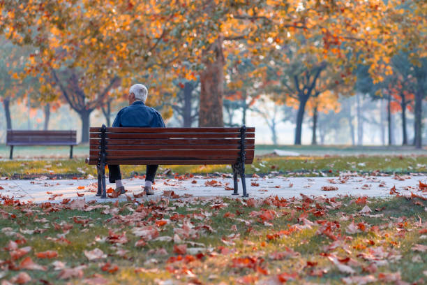 vecchio anziano solitario seduto in panchina nel parco - lonely tree immagine foto e immagini stock