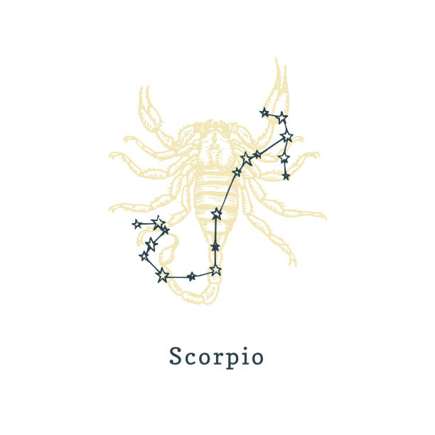 kuvapankkikuvitukset aiheesta skorpionin eläinradan tähdistö piirretyn symbolin taustalla kaiverrustyyliin. vektorikuva merkistä scorpio. - scorpio