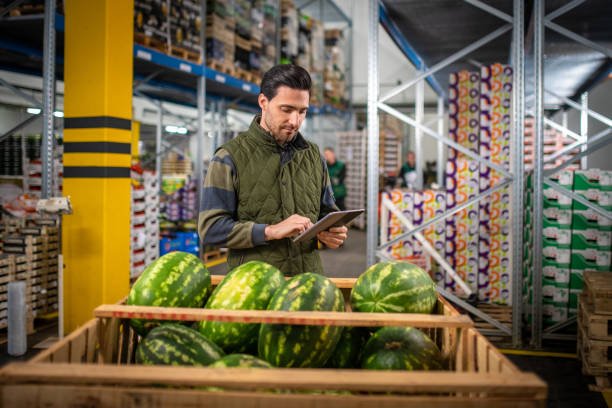 istock Male worker checking watermelon shipment in warehouse 1182645040
