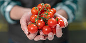 Woman holding cherry tomatoes