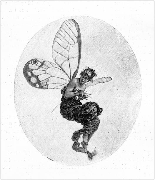 Antique illustration: Butterfly woman Antique illustration: Butterfly woman fairy illustrations stock illustrations