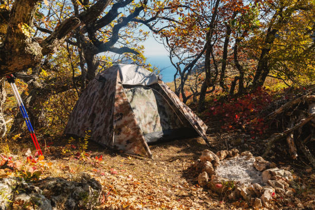 istock Camping tent in the camp 1182647515