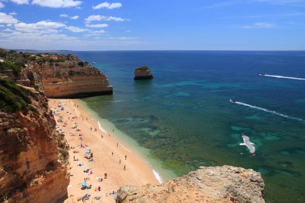 istock Marine Beach, Portugal 1182647949