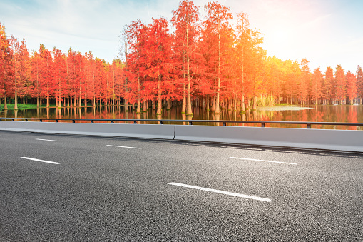 Empty asphalt road and beautiful colorful forest in autumn