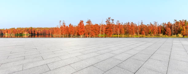 istock Empty floor and beautiful colorful forest in autumn 1182650436