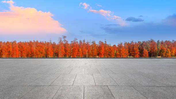 istock Empty floor and beautiful colorful forest in autumn 1182650698