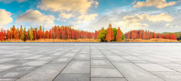 istock Empty floor and beautiful colorful forest in autumn 1182650842