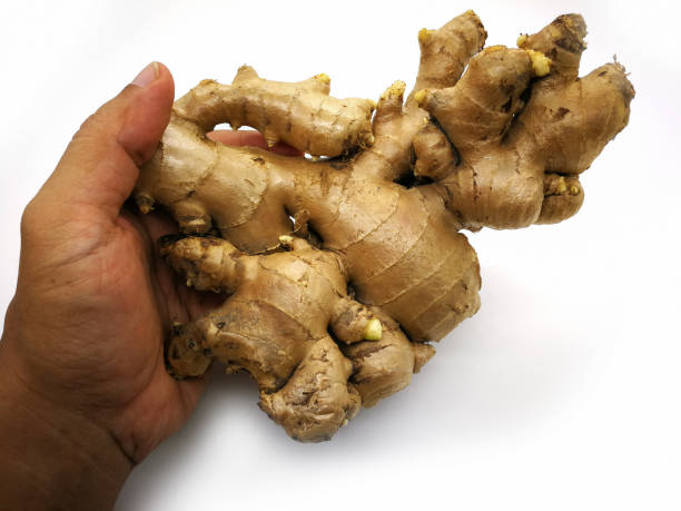 istock Fresh Ginger Rhizome  isolated on white background with clipping path 1182650896