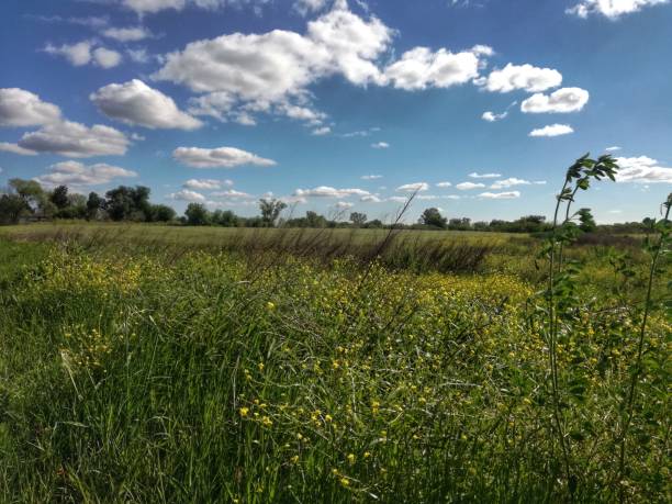 istock landscapes and rural roads 1182651168