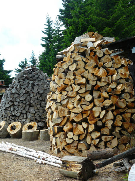 Conical Wood Log Stacks Wood logs stacked in conical stacks and waiting for winter to be burned. sawmill gravy stock pictures, royalty-free photos & images