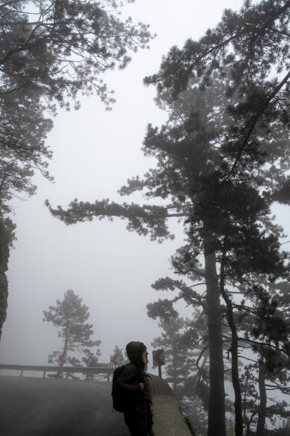 Woman exploring forest in mist and rain, Predmeja, Slovenia. Europe.